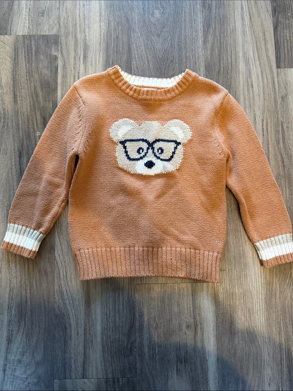 Cat & Jack Rust Orange Bear Sweater with Cream and Navy Details